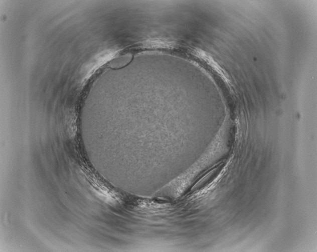 X0000086971213200704231507