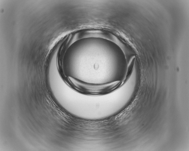 X0000086971214200704231507