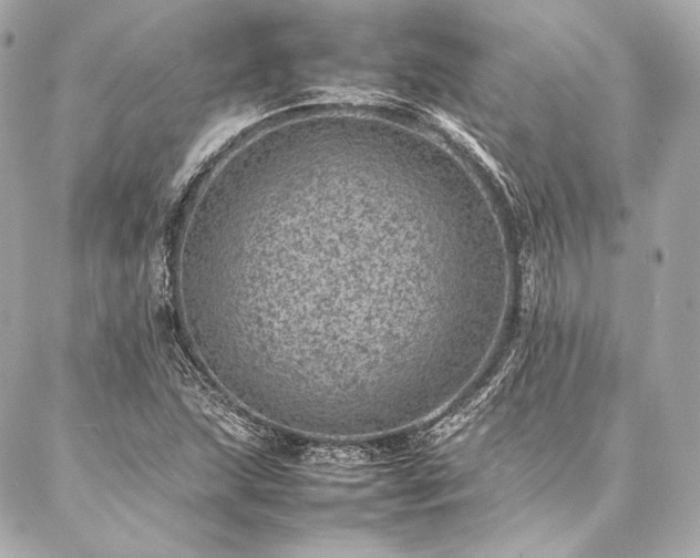 X0000086971215200704231507