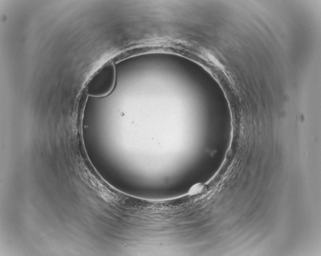 X0000086971216200704231507