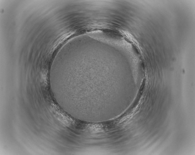 X0000086971217200704231507