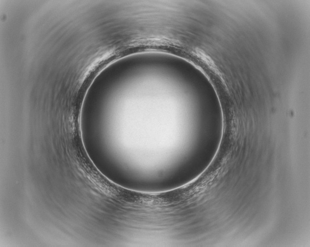 X0000086971218200704231507