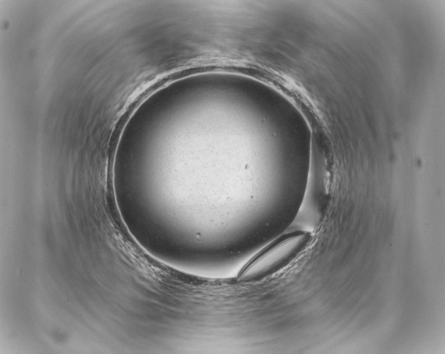 X0000086971220200704231507