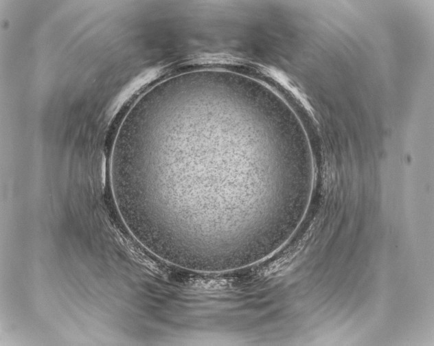 X0000086971221200704231507