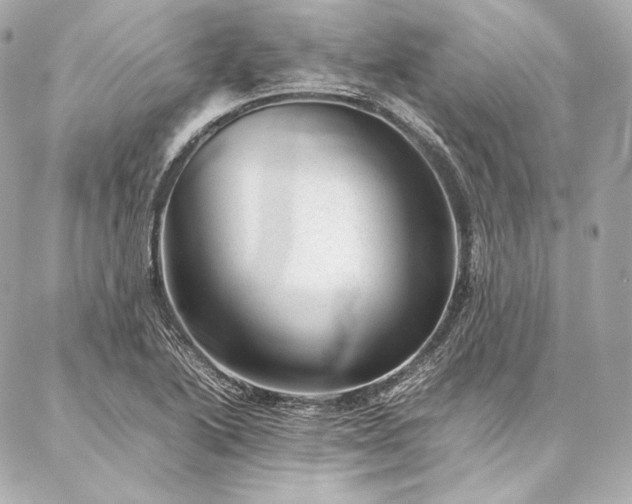 X0000086971222200704231507