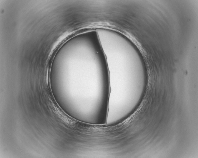 X0000086971224200704231507