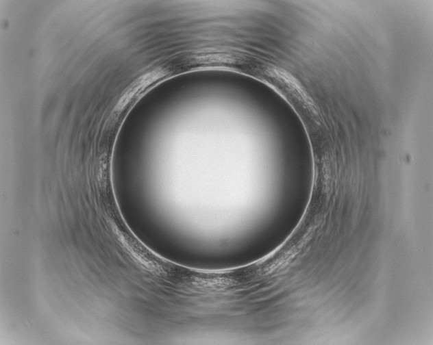 X0000086971225200704231507