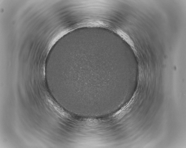 X0000086971226200704231507