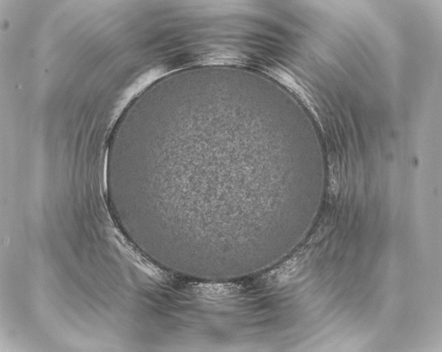 X0000086971227200704231507