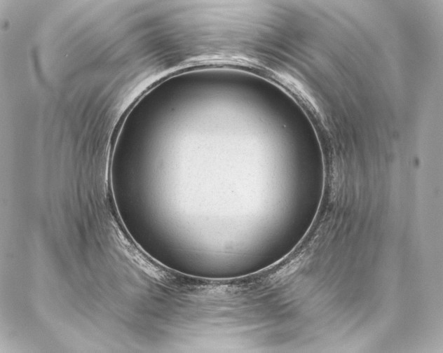 X0000086971228200704231507