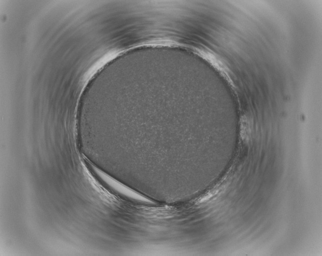 X0000086971229200704231507