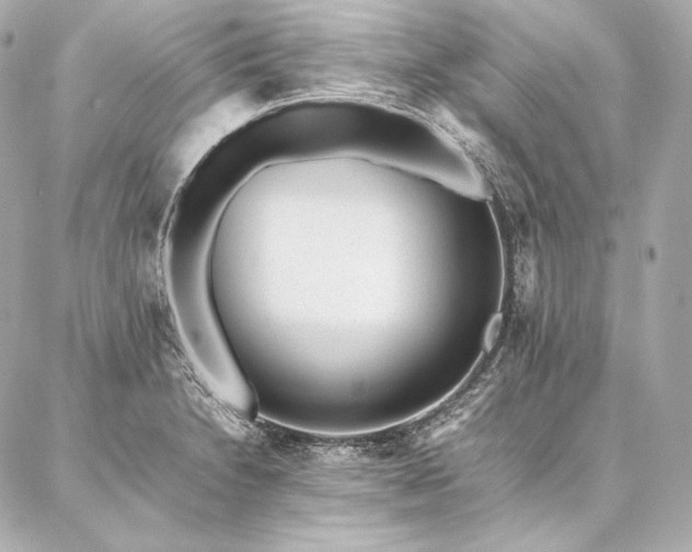 X0000086971230200704231507