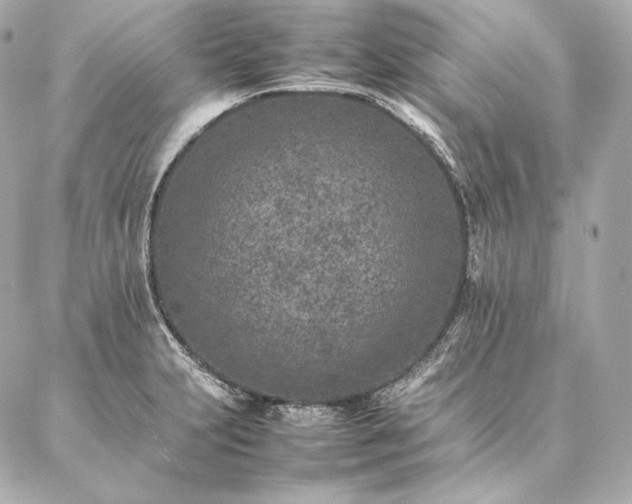 X0000086971231200704231507