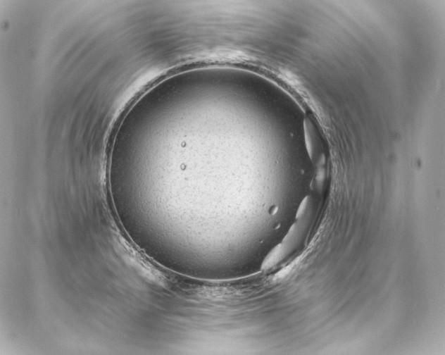 X0000086971232200704231507