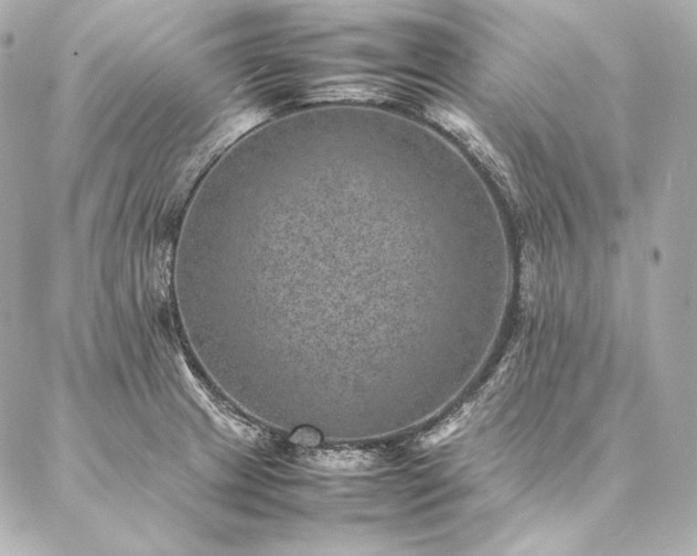 X0000086971233200704231507