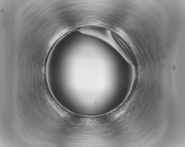 X0000086971234200704231507