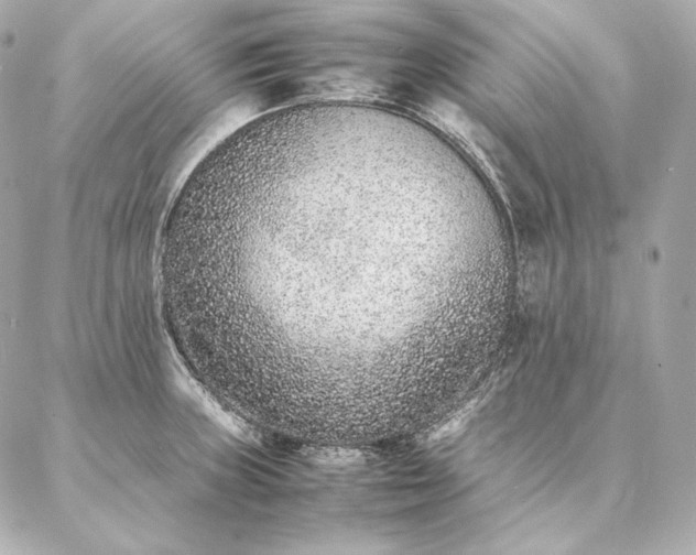 X0000086971235200704231507