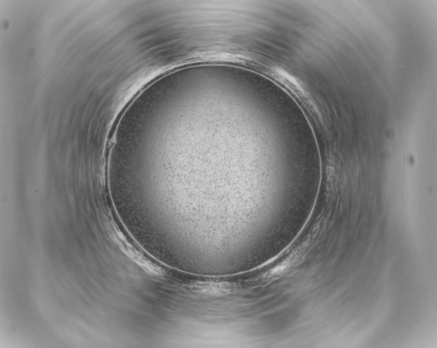 X0000086971236200704231507