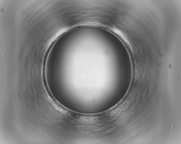 X0000086971237200704231507