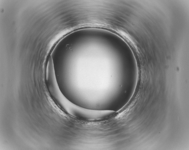 X0000086971238200704231507