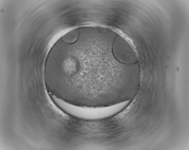 X0000086971239200704231507