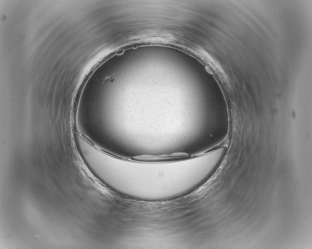 X0000086971240200704231507