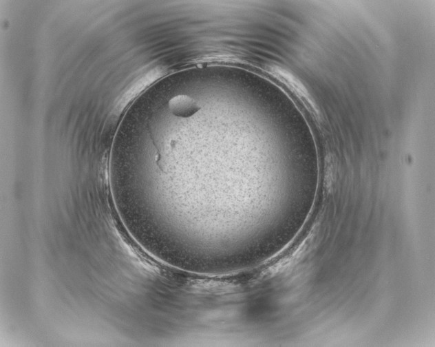 X0000086971241200704231507