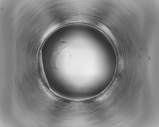 X0000086971242200704231507