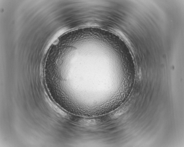 X0000086971243200704231507