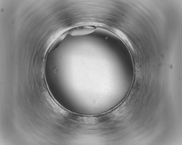 X0000086971244200704231507