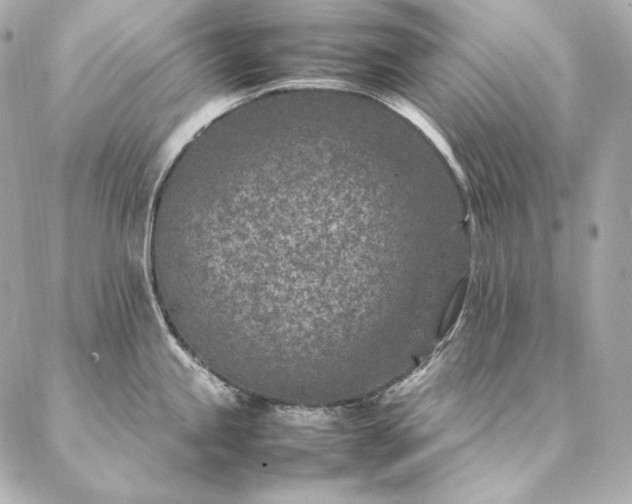 X0000086971245200704231507