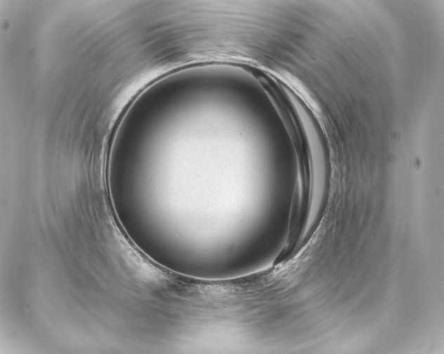 X0000086971246200704231507