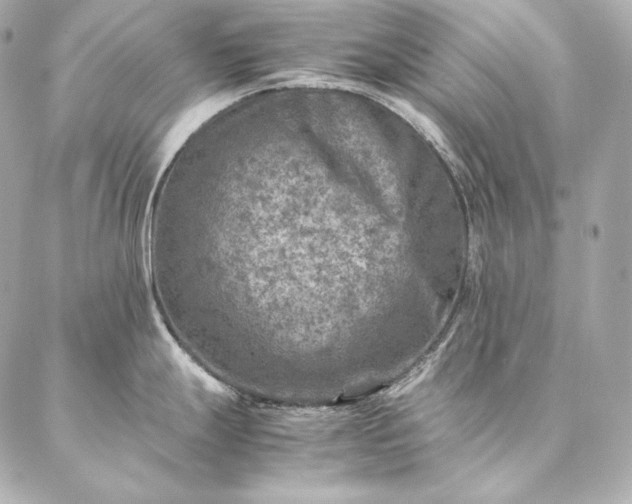 X0000086971247200704231507