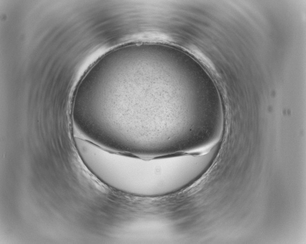 X0000086971248200704231507