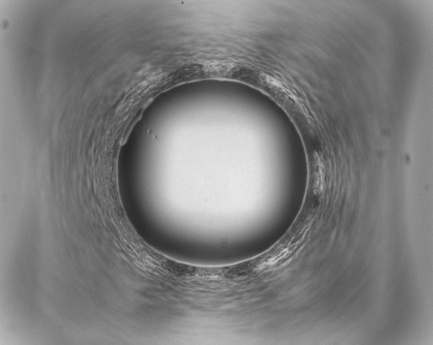 X0000086971249200704231507