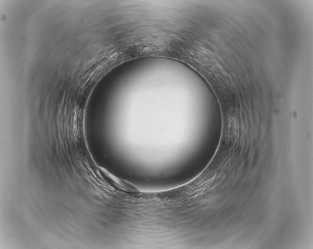 X0000086971250200704231507