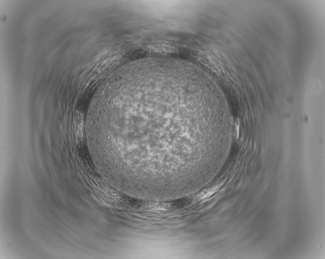 X0000086971251200704231507