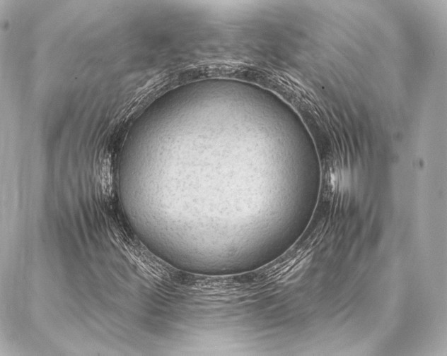 X0000086971252200704231507