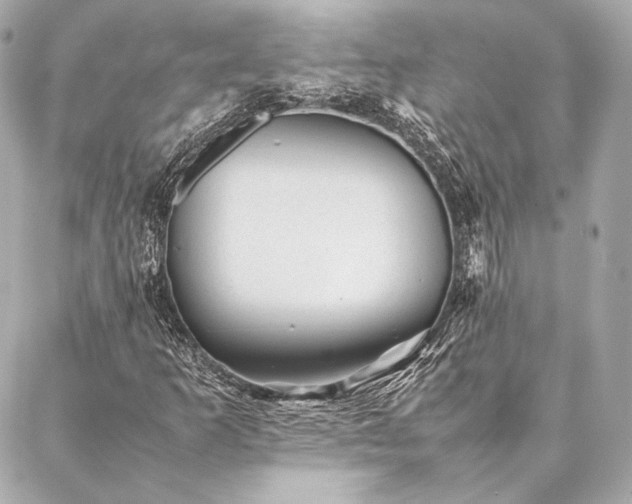 X0000086971253200704231507