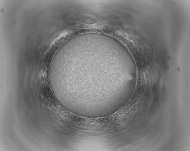 X0000086971254200704231507