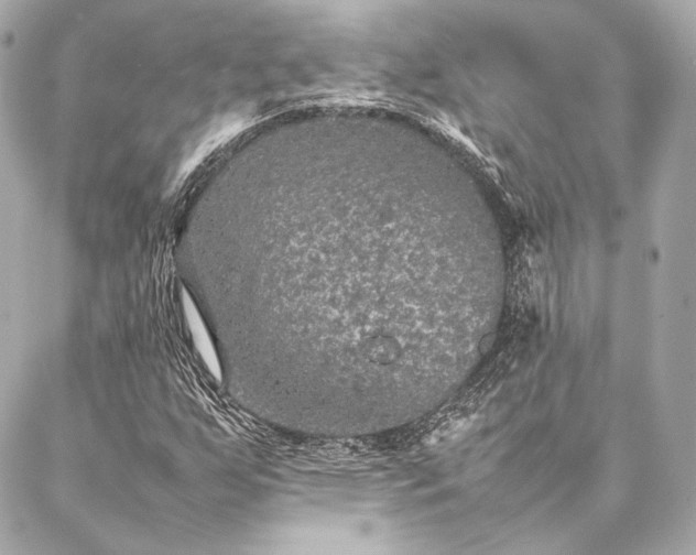 X0000086971255200704231507