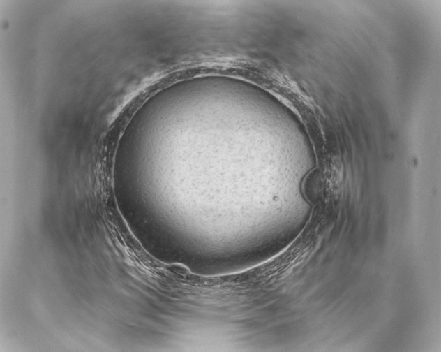 X0000086971256200704231507