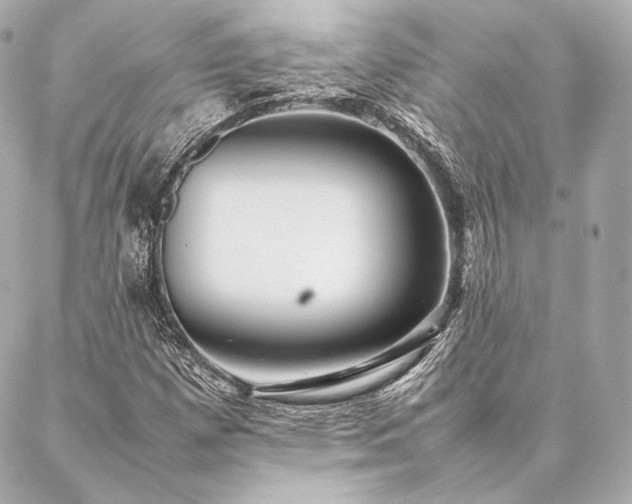 X0000086971257200704231507