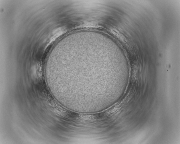 X0000086971258200704231507