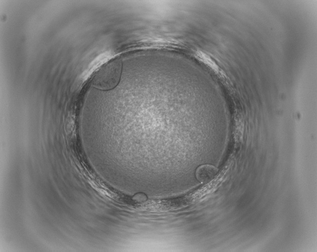 X0000086971259200704231507