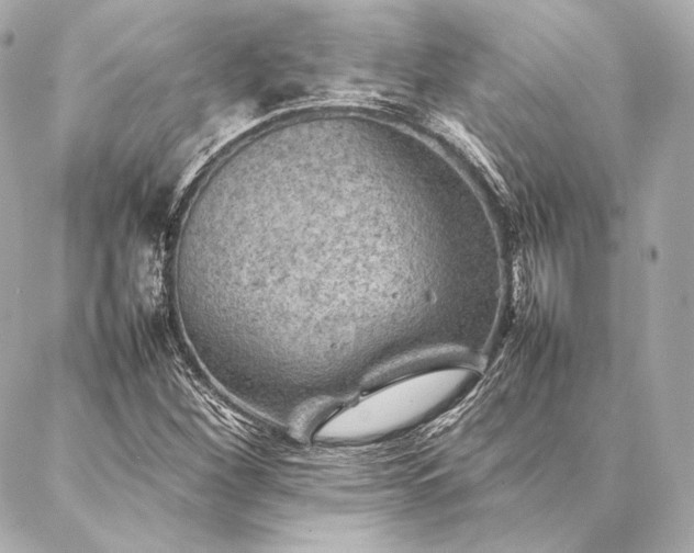 X0000086971260200704231507