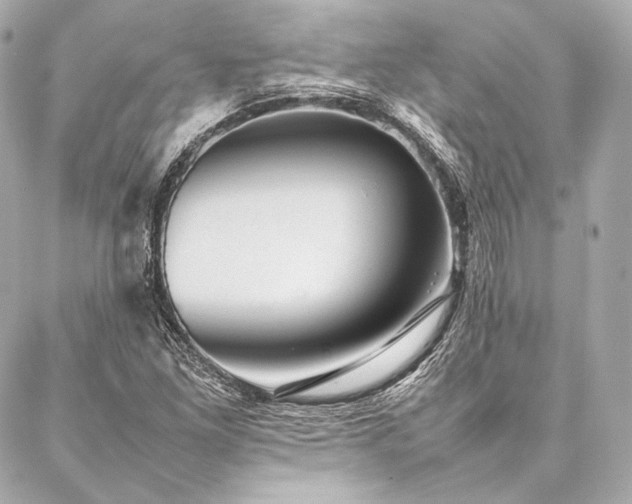 X0000086971261200704231507