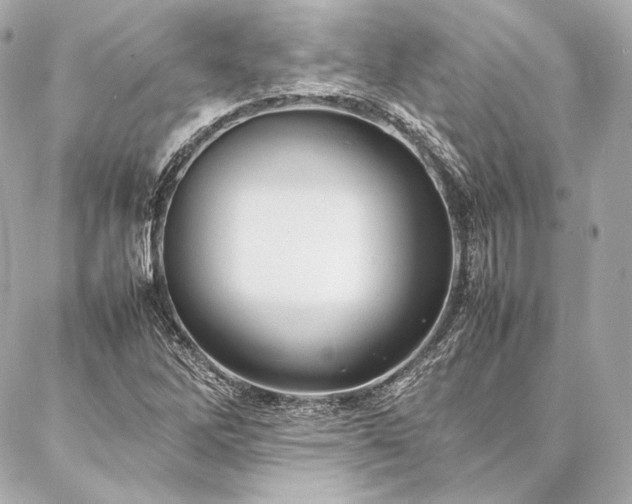 X0000086971262200704231507