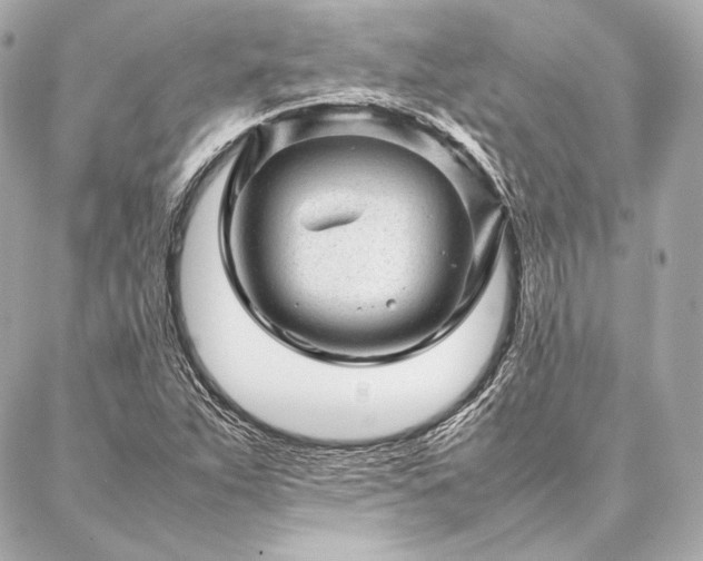 X0000086971263200704231506