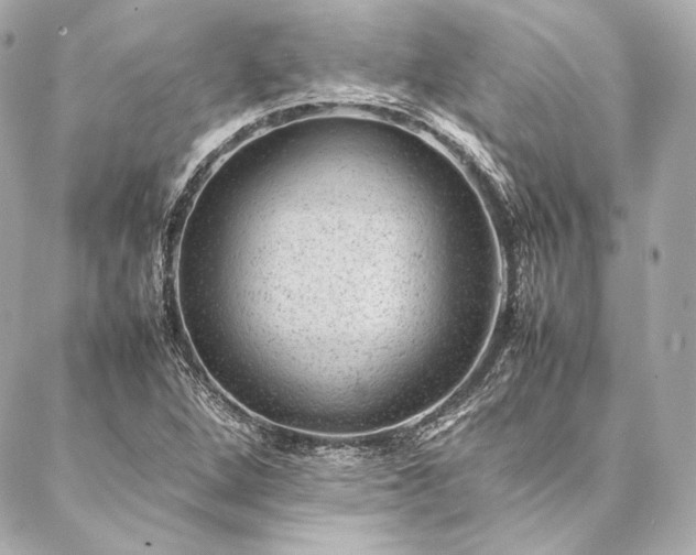 X0000086971264200704231506